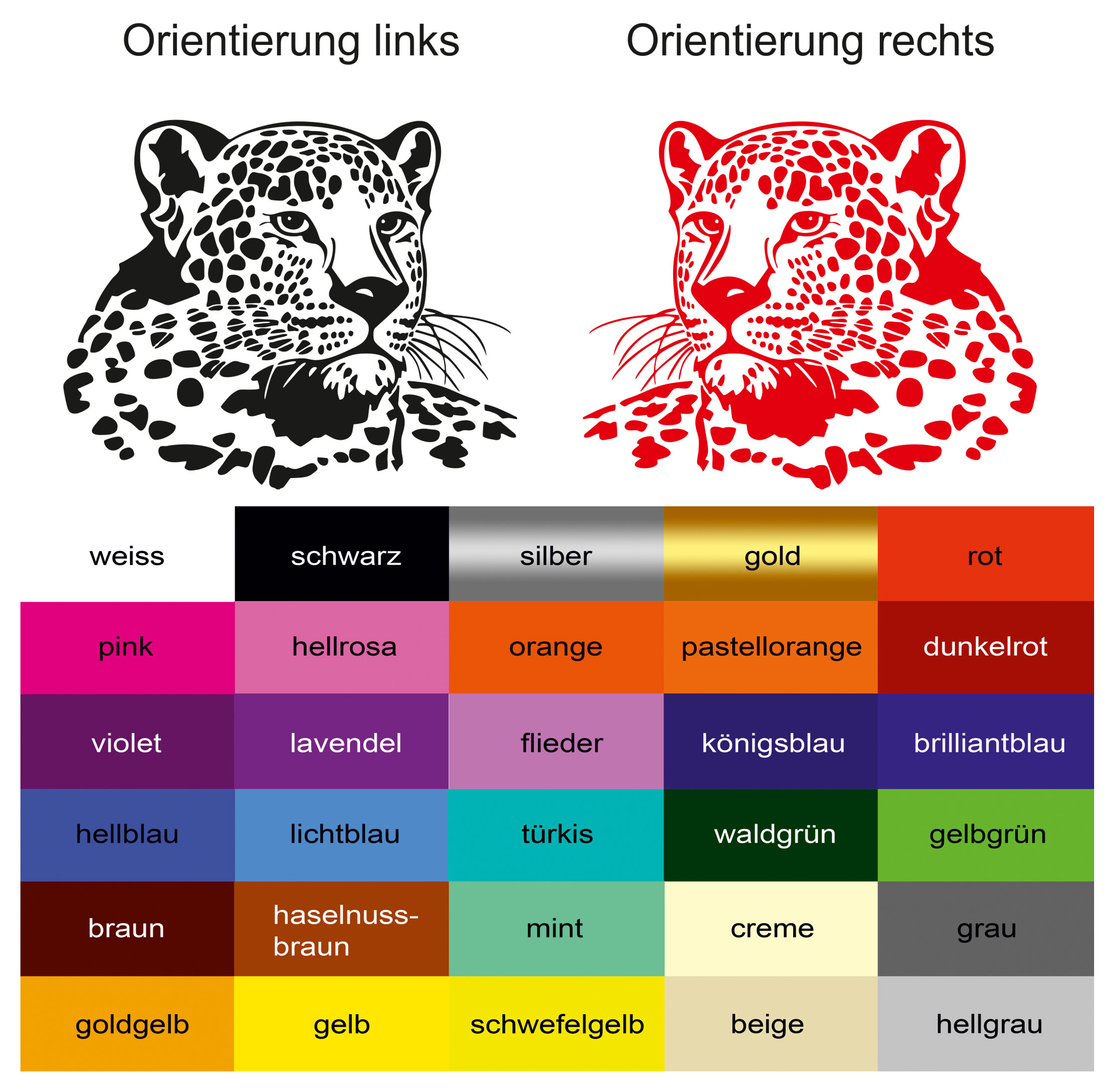 leopard-orientierung